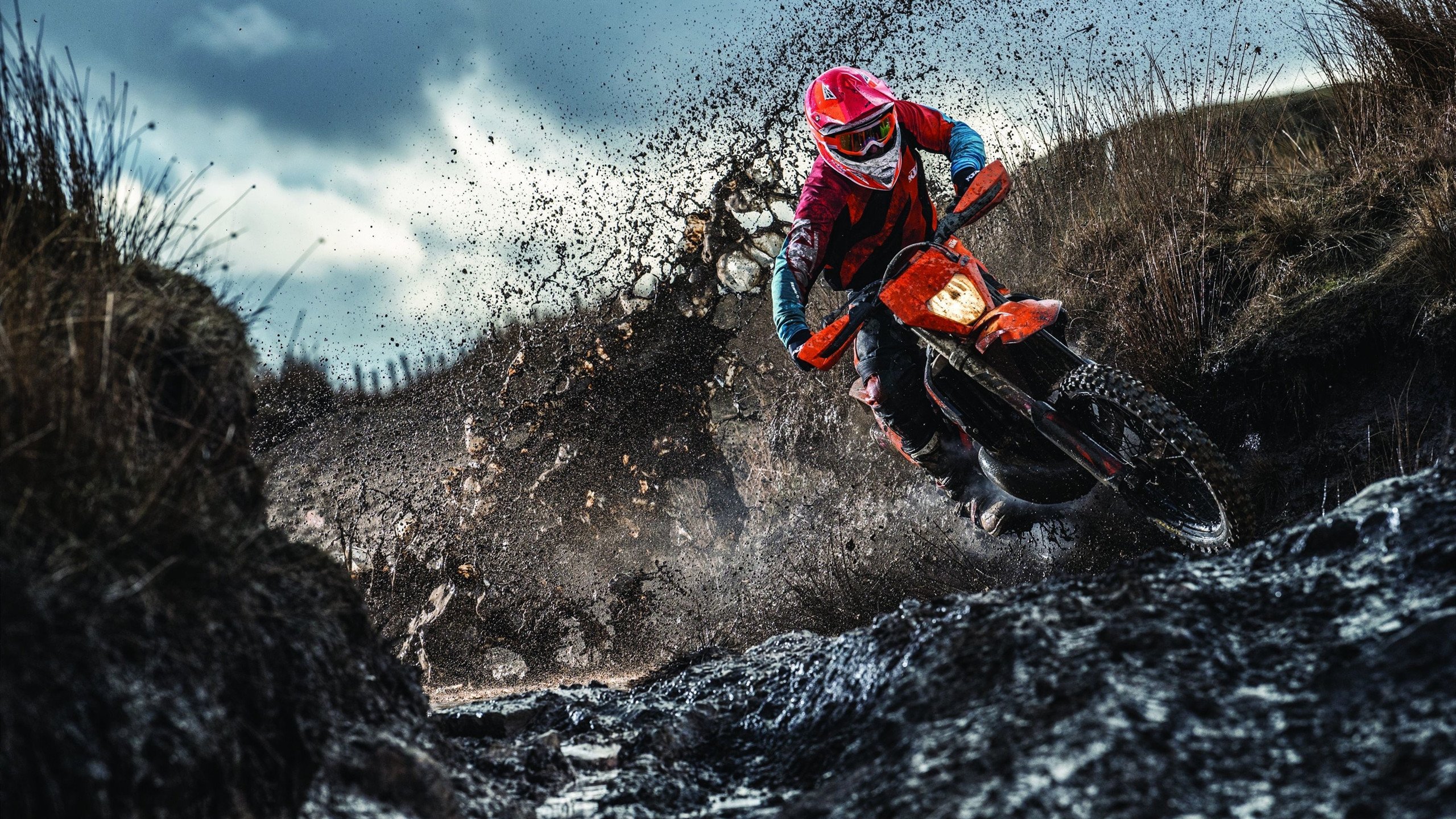 绿茵场与沙漠战场，英超争冠的战术博弈与伊朗伊拉克的生死时速